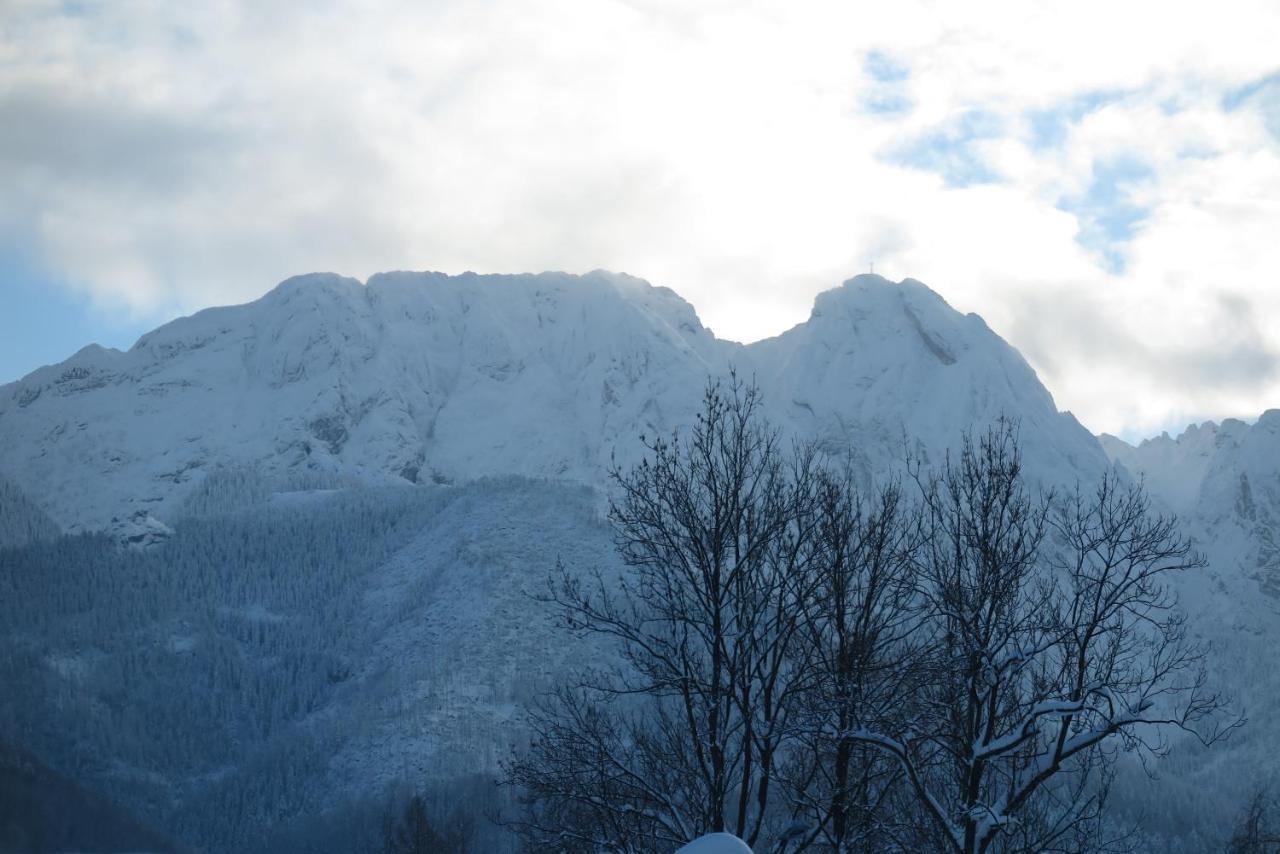 Pensjonat Jastrzebia Turnia Otel Zakopane Dış mekan fotoğraf