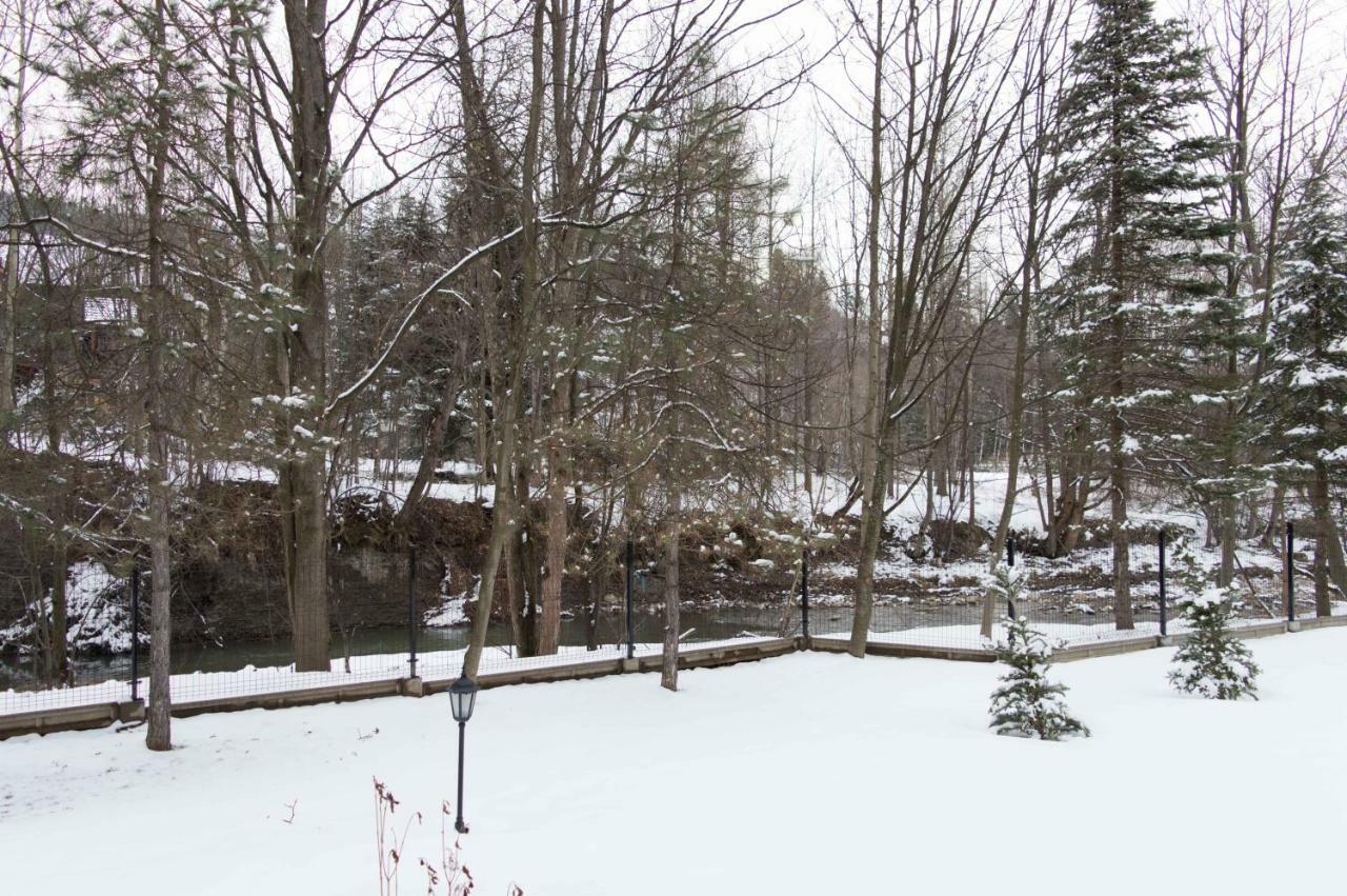 Pensjonat Jastrzebia Turnia Otel Zakopane Dış mekan fotoğraf